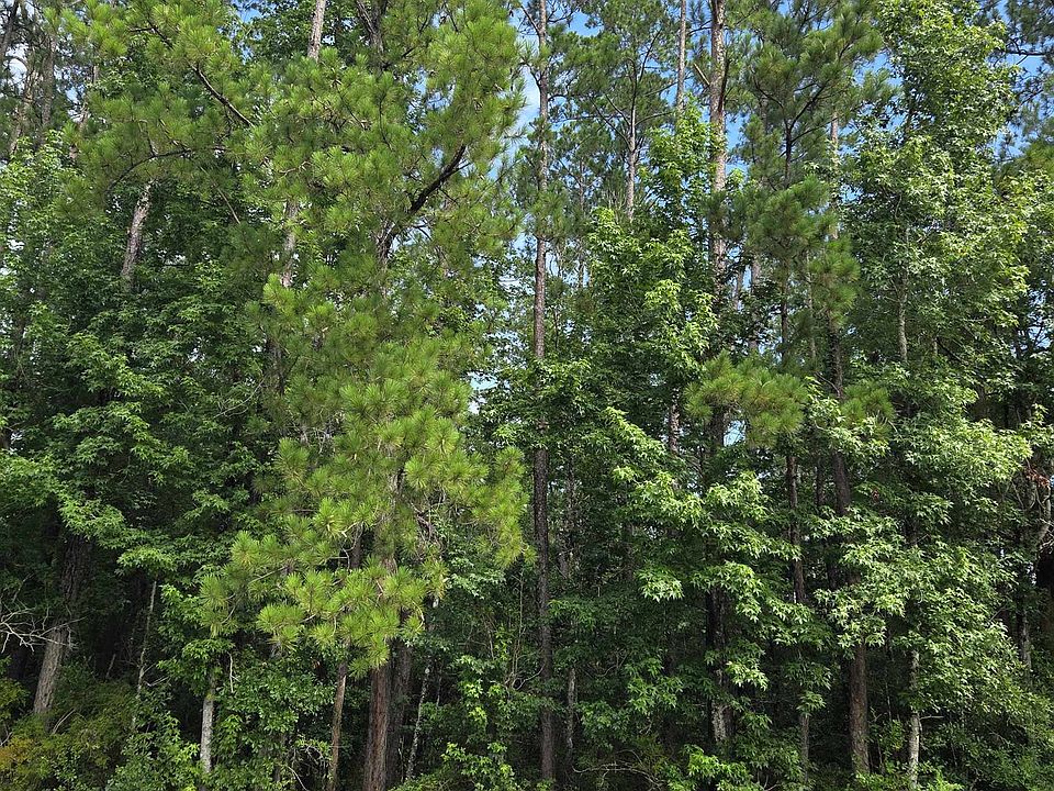 1st image of NW County Road 333