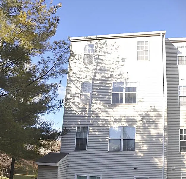3 bed, 1.5 bath, 1200 sqft, $2,450 — Photo 2