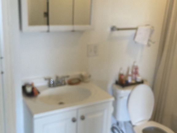 5th image of 2409 S Hoyne Ave #301
