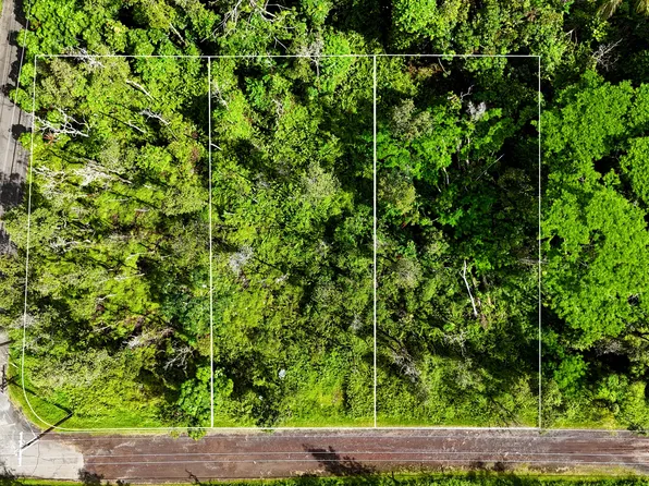 Forest Rd Lot 335, Pahoa, HI 96778
