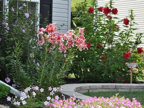 Front Flower Bed