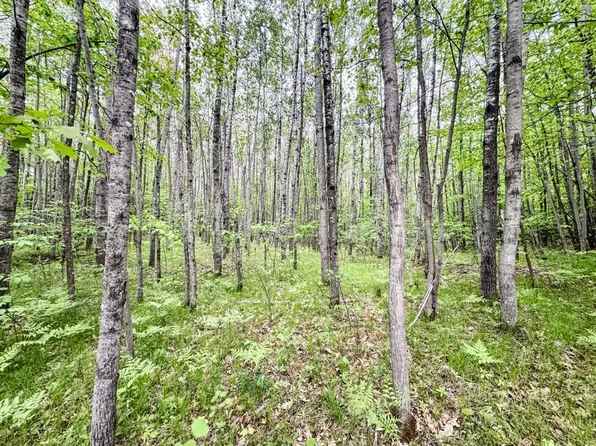 0 Kelly Rd, Lake Nebagamon, WI 54849
