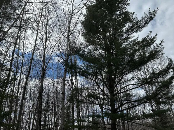 On Cth A Tract #4081, Rhinelander, WI 54501