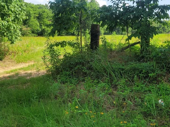 15907 & 15862 County Road 46, Tyler, TX 75704