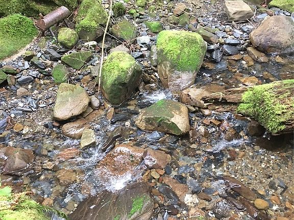 3rd image of 0 NHN Brook Lane