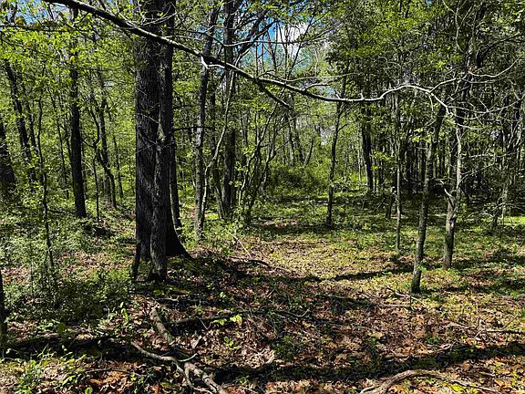 5th image of 5911 Goerlitz Rd