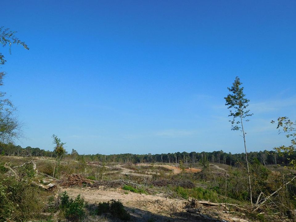 2nd image of 518 Honeyfork Rd