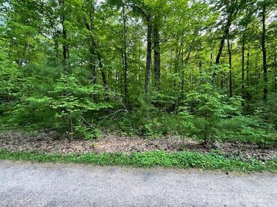 Lot 1 Plover Lane, Hayward, WI, 54843