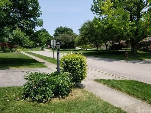 3rd image of 8905 Deep Forest Ln