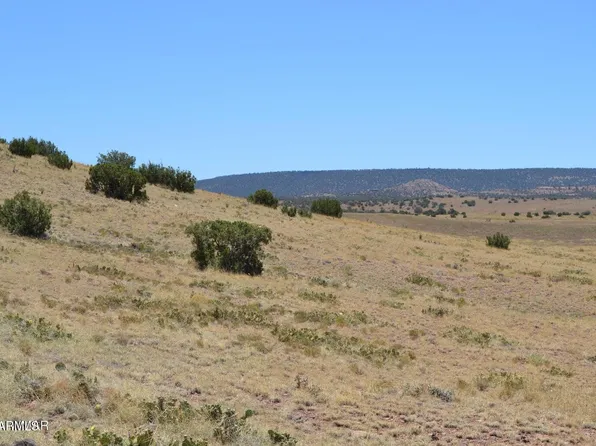 Lot 863 ACR N8497 -- #863, Concho, AZ 85924