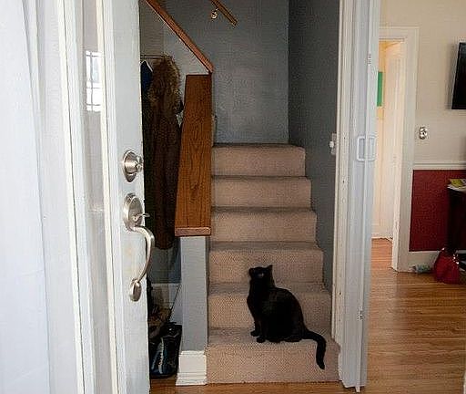 Entry with stairs