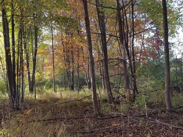 788 Greystone Dr, Chelsea, MI 48118