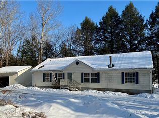 166 Fields Cross Rd, Mount Vision, NY 13810