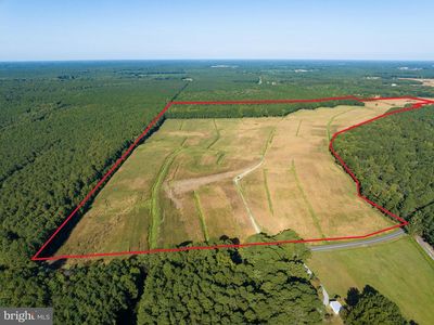 0 Greenbriar Swamp Rd, Salisbury, MD, 21804