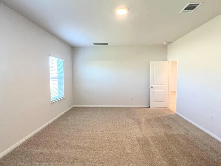 2409 Corriente Path — Photo 17