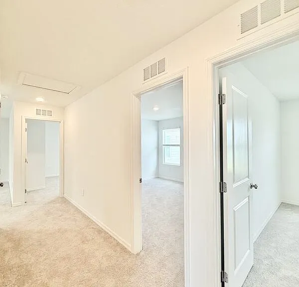 641 Bald Cypress Dr — Photo 29