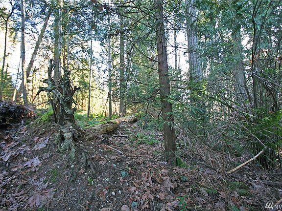 4th image of 0 11th Ave NE