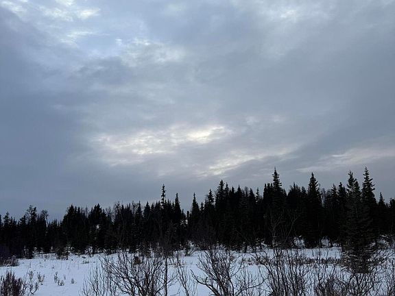 4th image of 25645 Stinkbug St