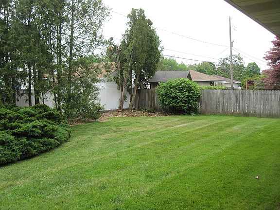 Back yard 