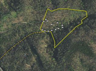 Holt Town Rd LOT WP001, Newport, TN 37821