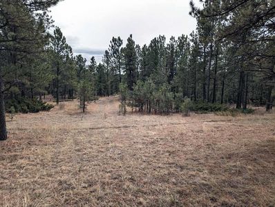 Tbd Argyle Rd, Hot Springs, SD, 57747
