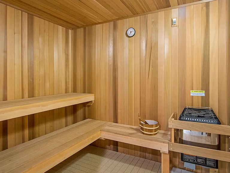 Dry Hot Sauna