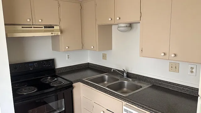 1 bed, $750 — Photo 3