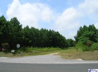 LOT 6 Drakes Nest Ln, Darlington, SC 29532