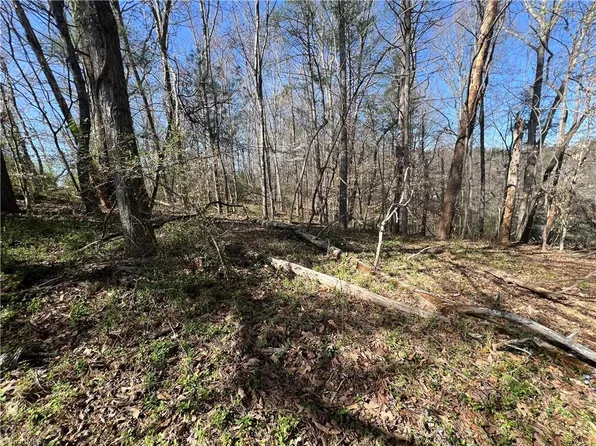0 Shepherds Farm Rd, North Wilkesboro, NC 28659