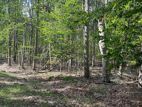 2nd image of Lots 156 & 157 Hummingbird Ct Lot 156/57
