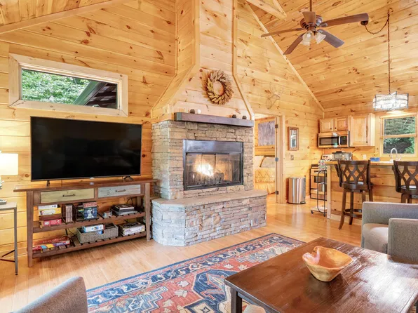 67 Allgood Rd, Cherry Log, GA 30522