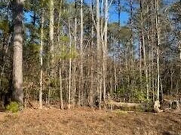 123 Butterfly Ln, Monroe, GA 30655