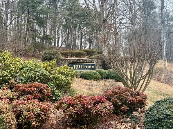 0 Willows Dr, Cleveland, GA 30528