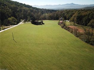 9999 Hookers Gap Rd, Candler, NC 28715