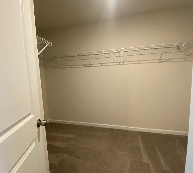 335 Anna Gray Cir — Photo 18