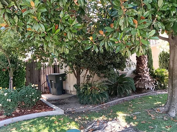 3rd image of 277 San Gabriel Dr