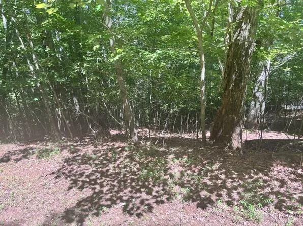 17 E Dogwood Cir, Hayesville, NC 28904
