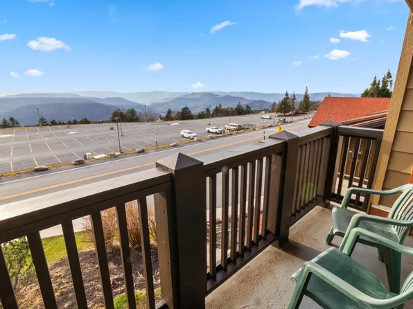 245 Rimfire Ldg, Snowshoe, WV 26209