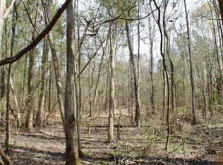 2 Virgin Mary Rd, Camden, MS 39045