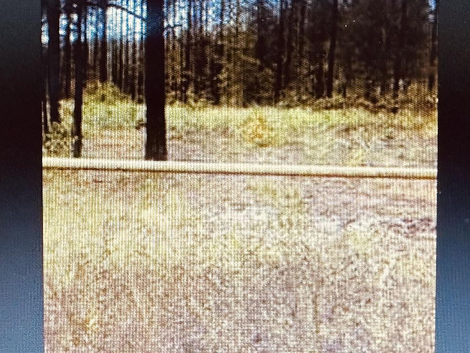 2nd image of County Road 4122 N