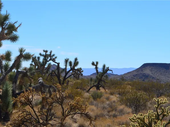 3 Bush Rd, Yucca, AZ 86438