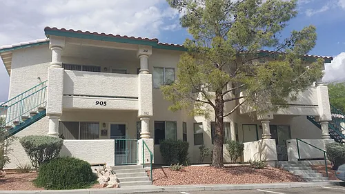 905 Mesquite Springs Dr #101 Photo 1