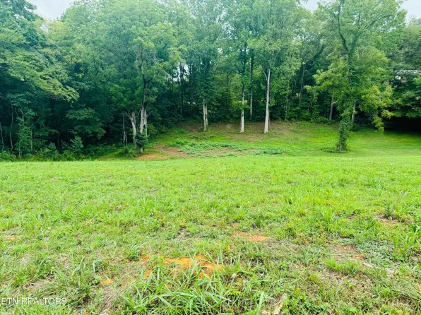 0 Wale Dr Lot 39, Parrottsville, TN 37843