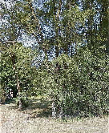 2nd image of Glenview Dr