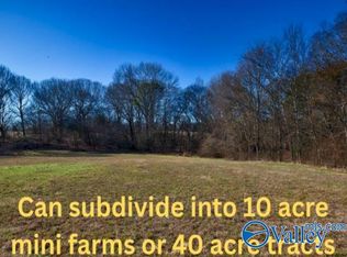 271/ACRE S Joe Quick Rd, Hazel Green, AL 35750