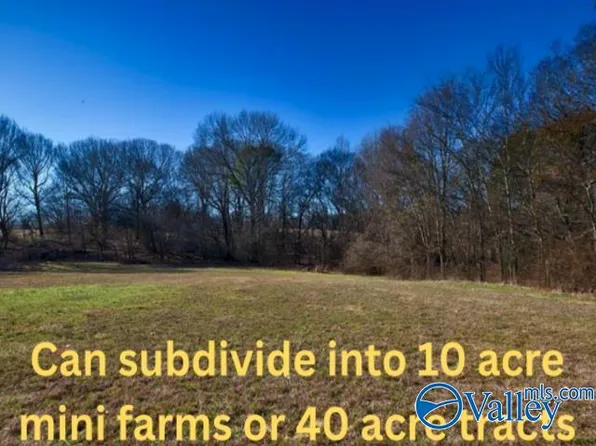 271/ACRE S Joe Quick Rd, Hazel Green, AL 35750