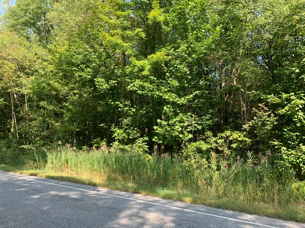 Vl Wildwood Rd, Shelbyville, MI 49344