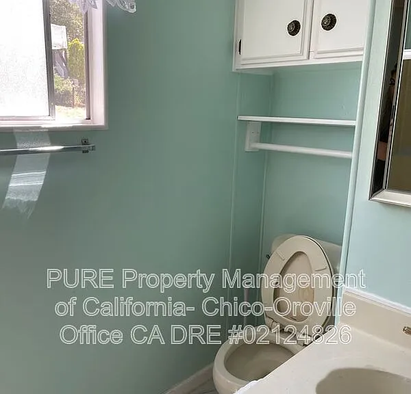 533 Silver Leaf Dr — Photo 18