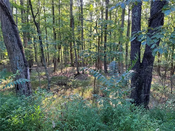 0 Union Gap Rd, Spurlockville, WV 25565