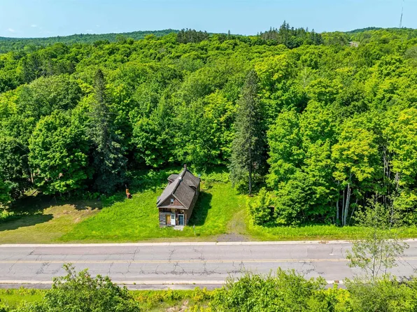 42889 Goodell Ave, Painesdale, MI 49955